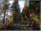 foto Mont Grand Pays